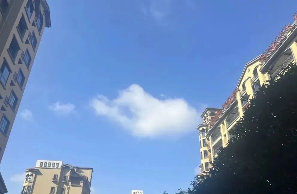 1644375898756.jpg